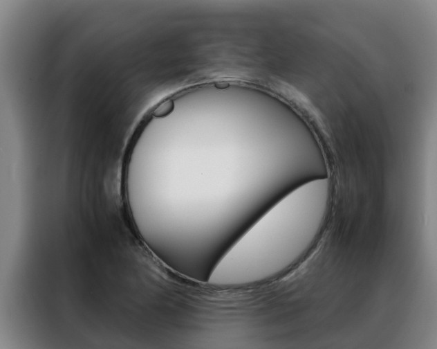 X0000088481174200705220955