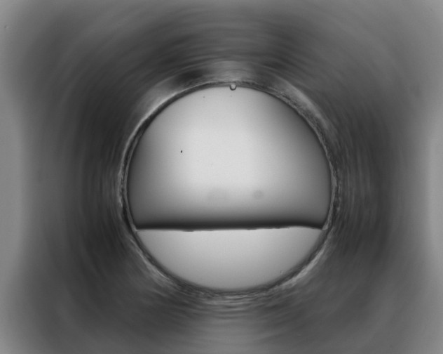 X0000088481178200705220954