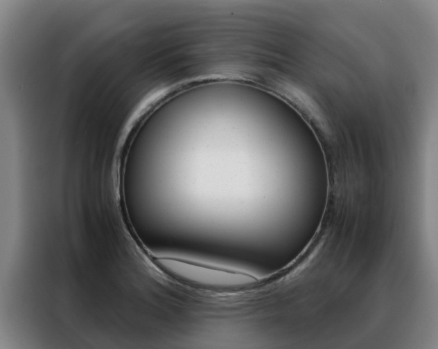 X0000088481180200705220954