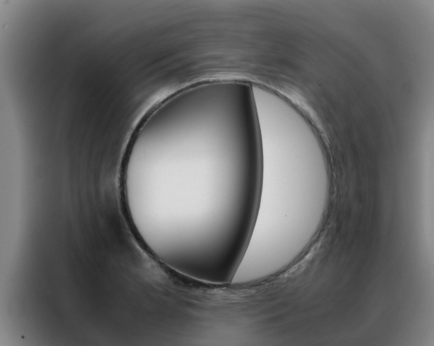 X0000088481181200705220954