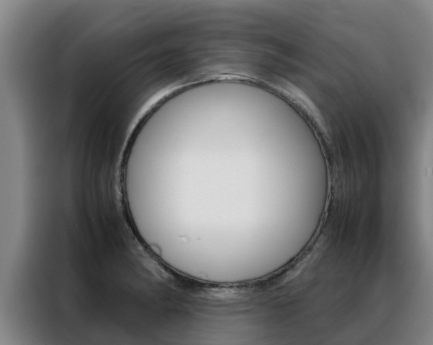 X0000088481182200705220954