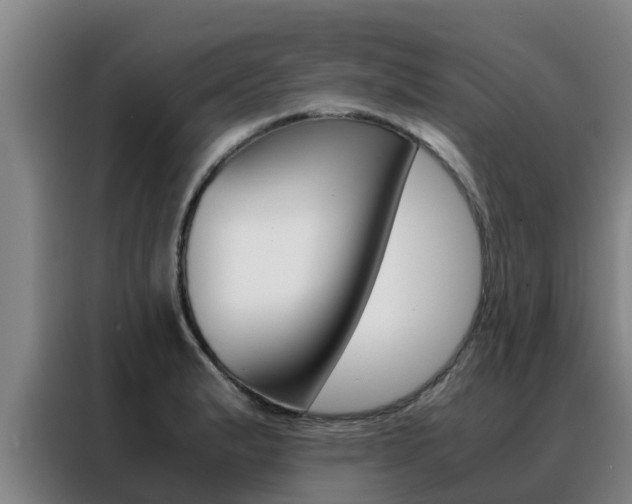 X0000088481183200705220954