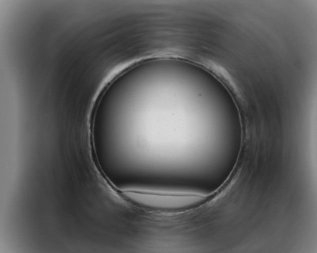 X0000088481184200705220954