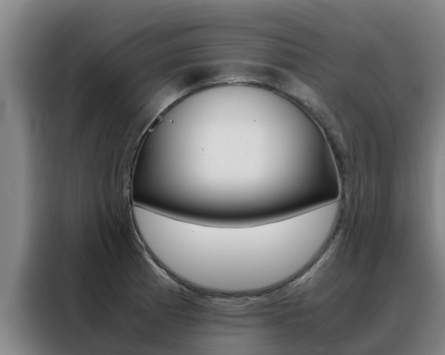 X0000088481185200705220954