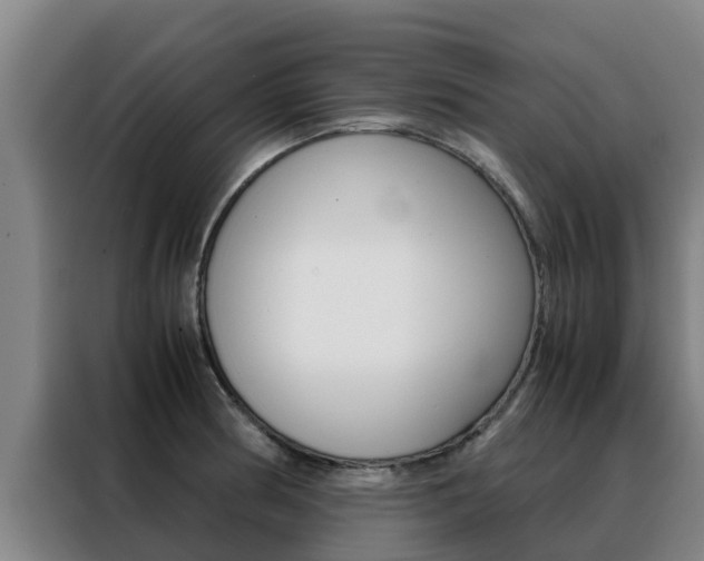 X0000088481186200705220954
