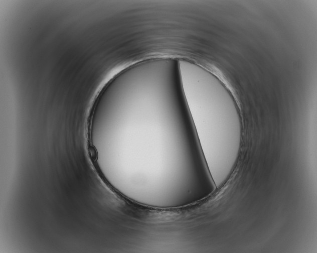 X0000088481187200705220954