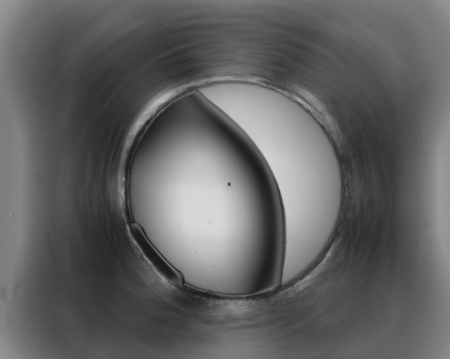 X0000088481188200705220954
