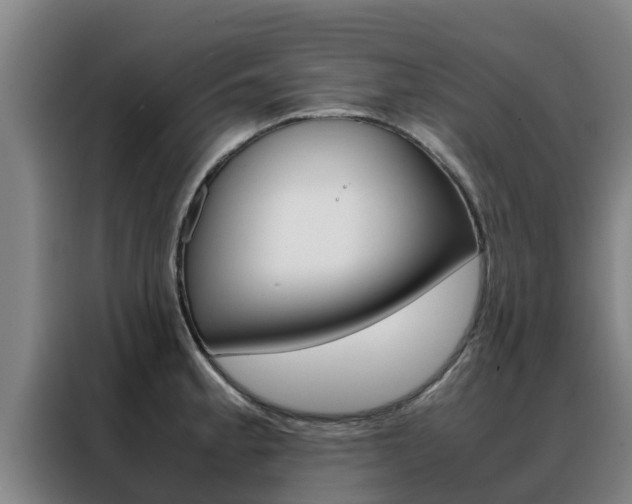 X0000088481189200705220954