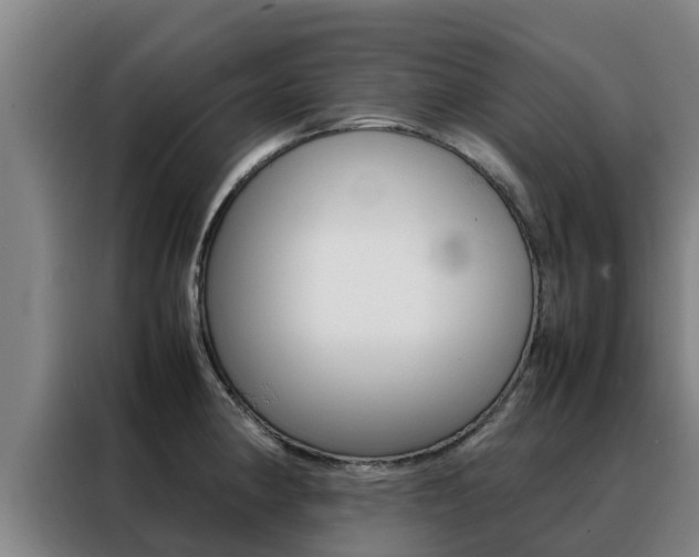 X0000088481190200705220954