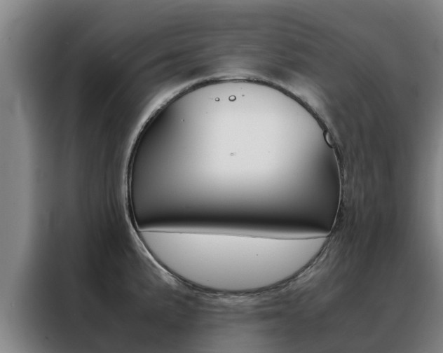 X0000088481191200705220954