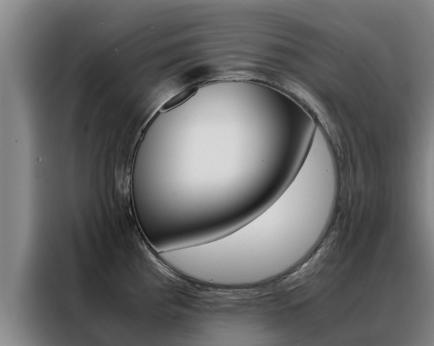X0000088481193200705220954