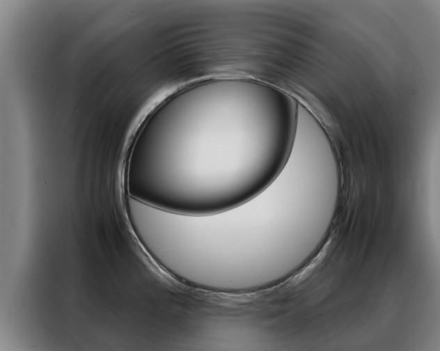 X0000088481196200705220954