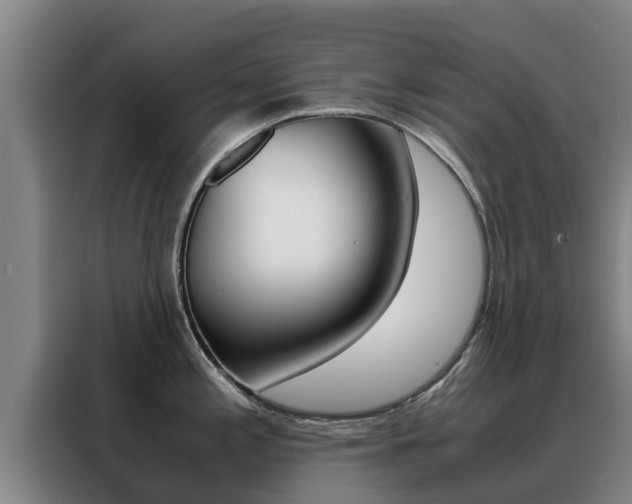X0000088481197200705220954