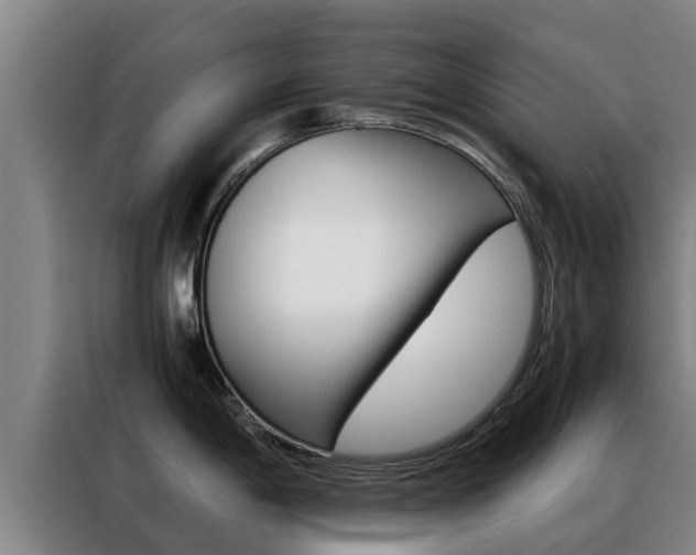 X0000088481198200705220954