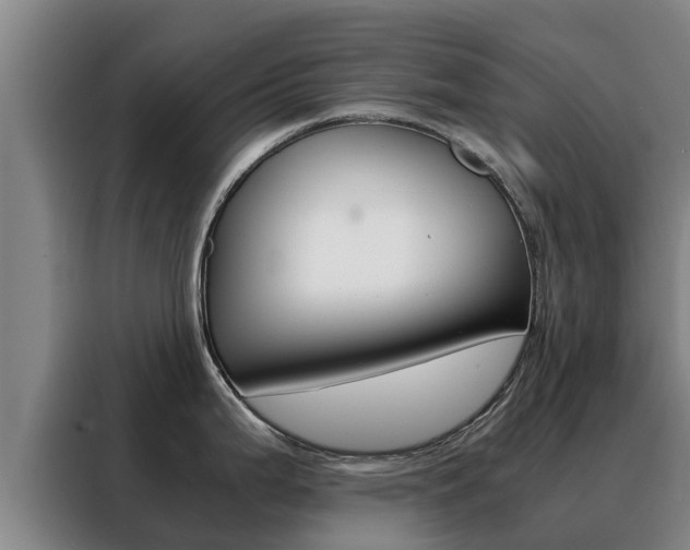 X0000088481199200705220954