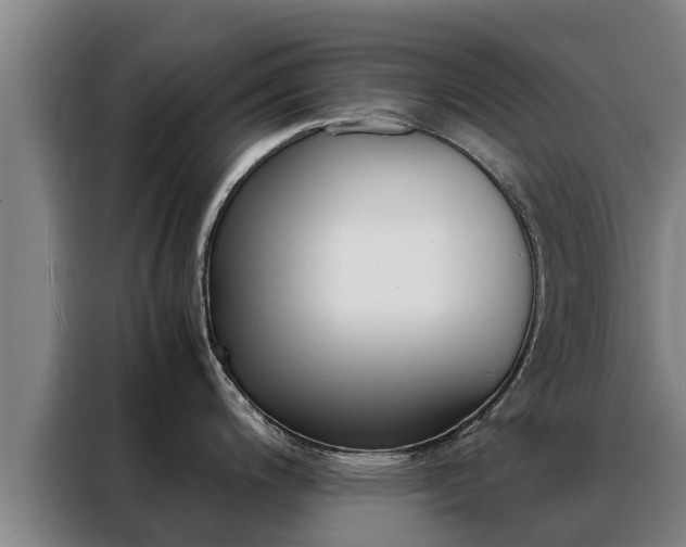 X0000088481200200705220954