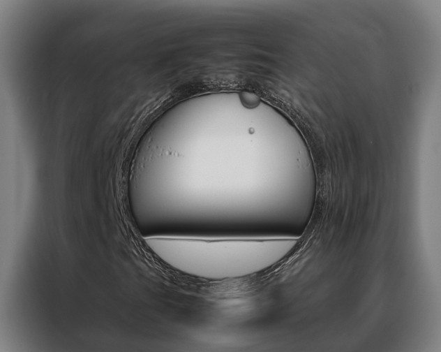 X0000088481201200705220954
