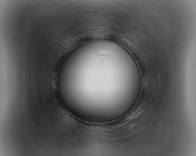 X0000088481202200705220954