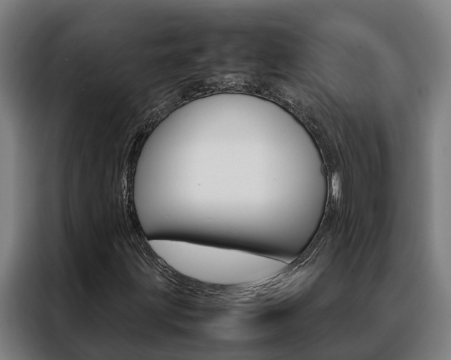 X0000088481203200705220954