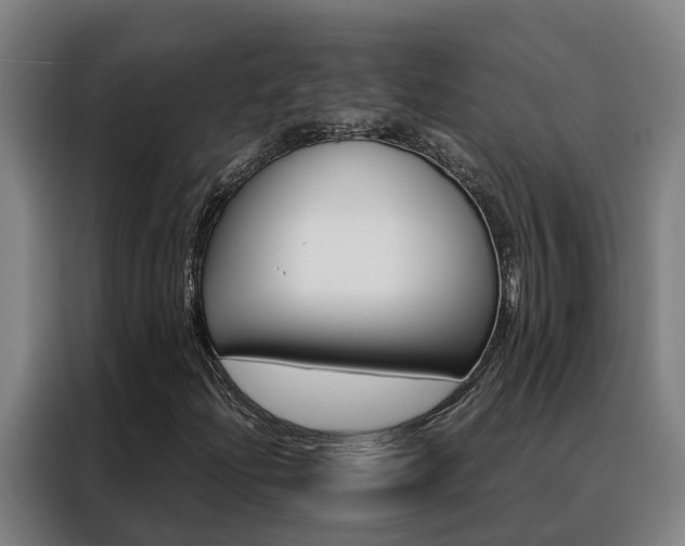 X0000088481204200705220954