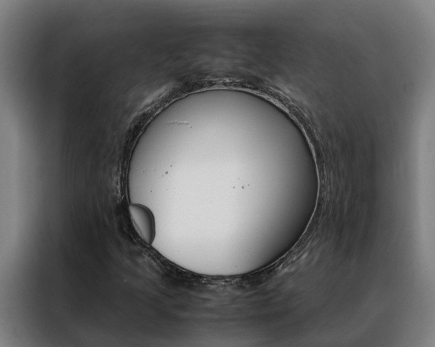 X0000088481205200705220954
