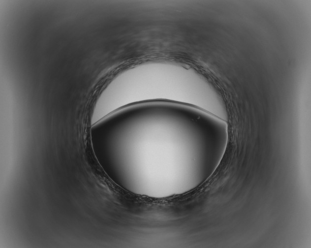 X0000088481206200705220954