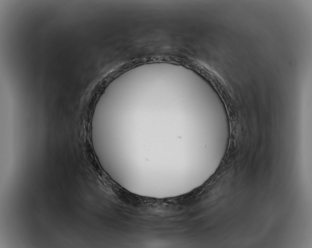X0000088481207200705220954
