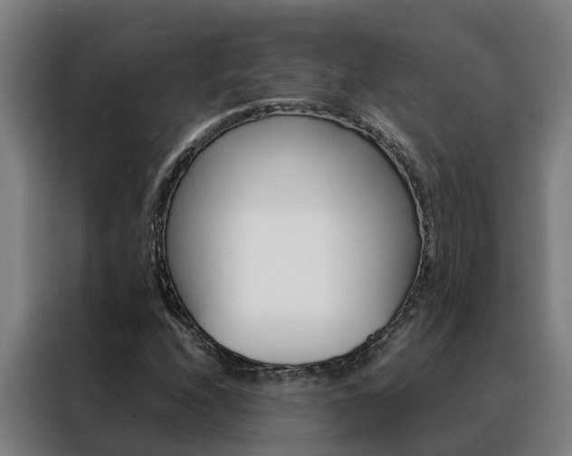 X0000088481208200705220954