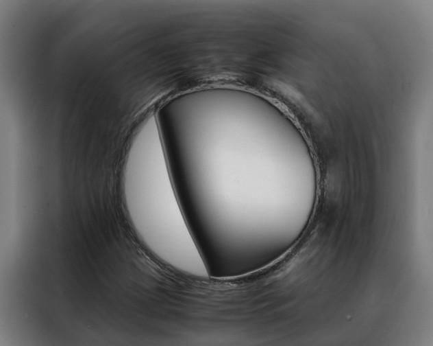 X0000088481209200705220954