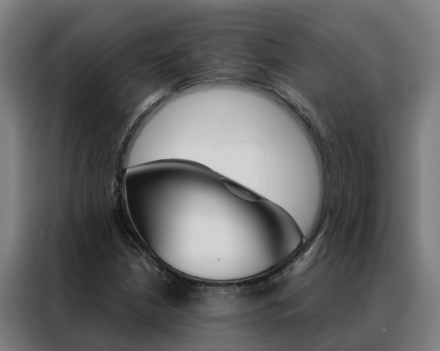 X0000088481210200705220954
