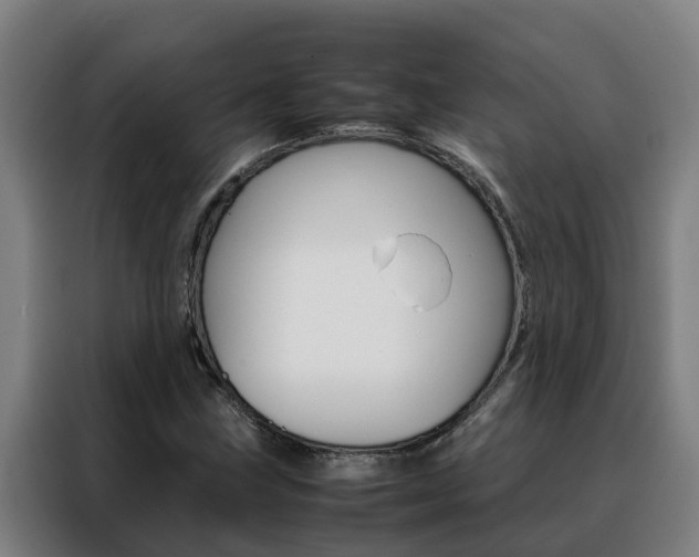 X0000088481211200705220954