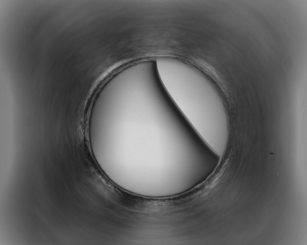 X0000088481212200705220954