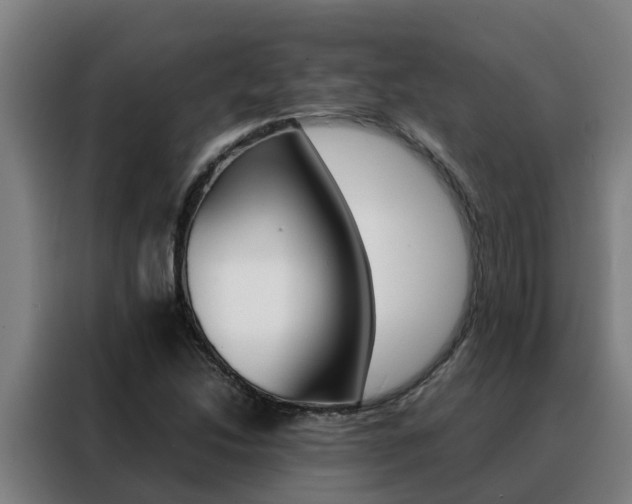 X0000088481214200705220954