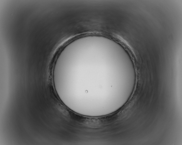 X0000088481215200705220954
