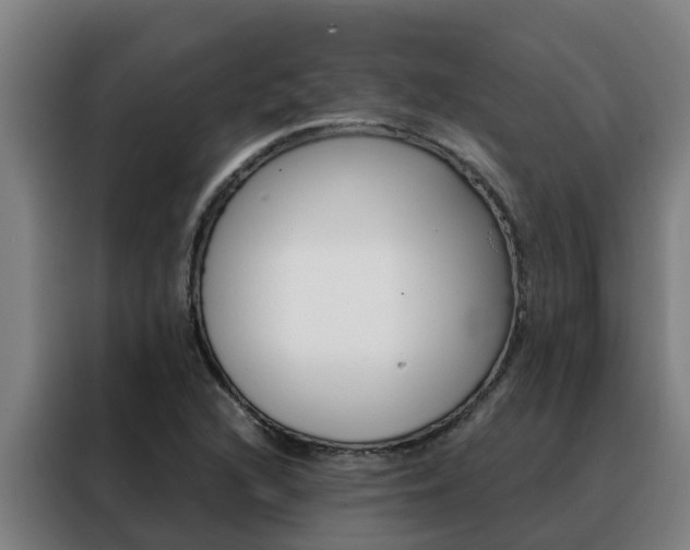 X0000088481216200705220954