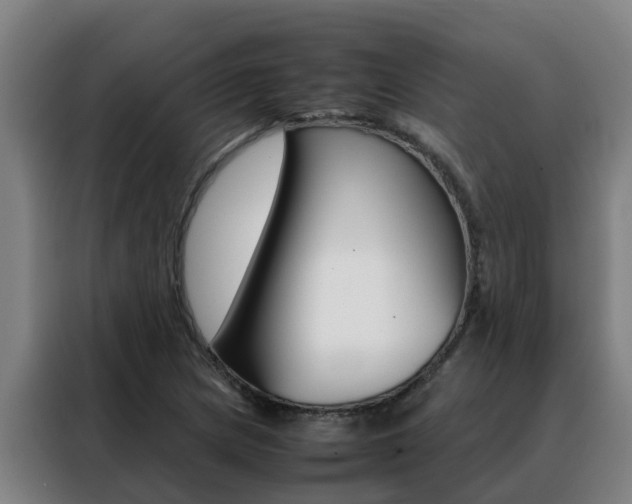 X0000088481217200705220954