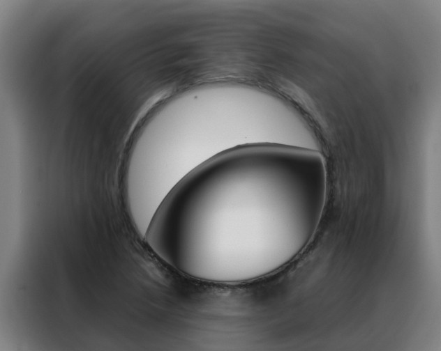 X0000088481218200705220954