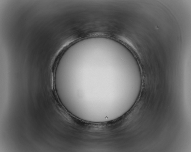 X0000088481219200705220954