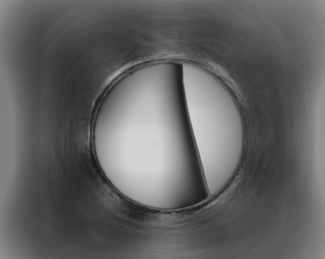 X0000088481220200705220954