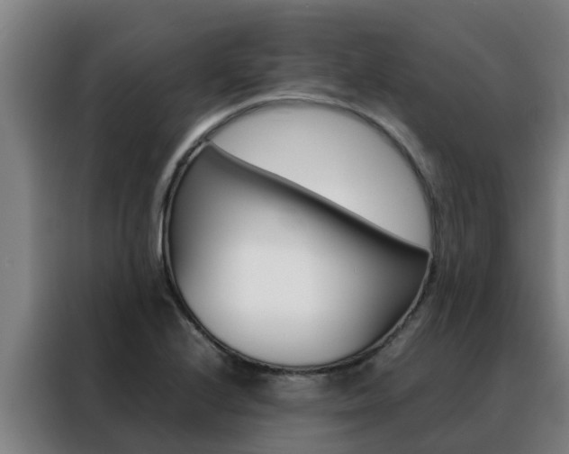 X0000088481224200705220954