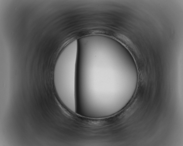 X0000088481225200705220954