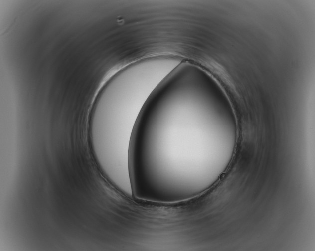 X0000088481226200705220954