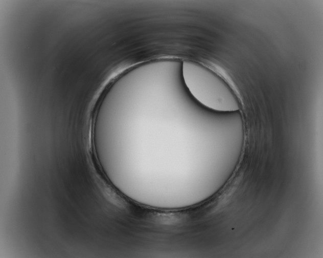 X0000088481227200705220954