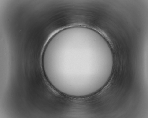 X0000088481230200705220954