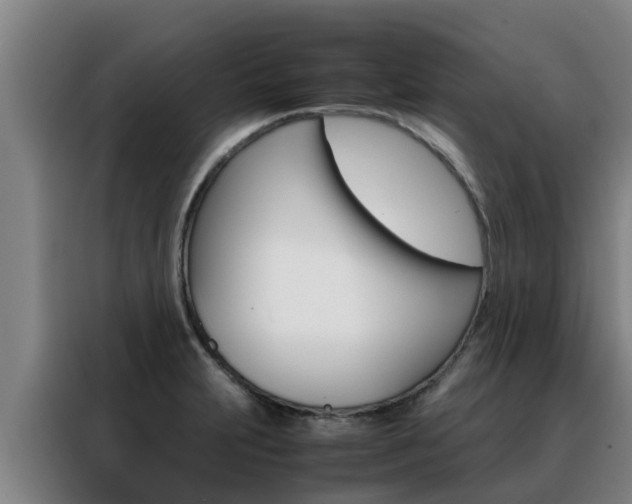 X0000088481231200705220954
