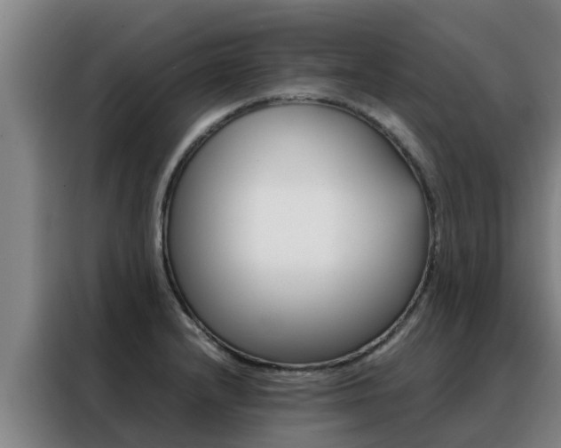 X0000088481232200705220954