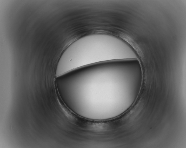 X0000088481233200705220954