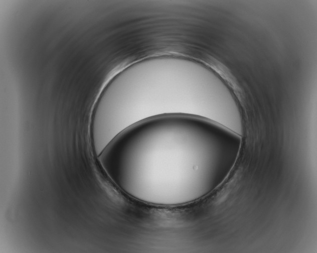 X0000088481234200705220954