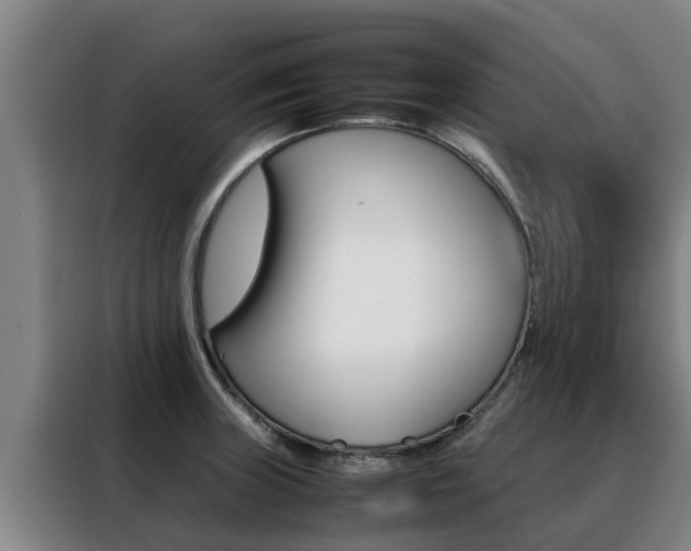 X0000088481235200705220954