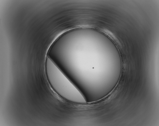 X0000088481236200705220954